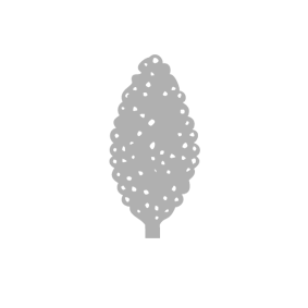 Nature Pep Quinoa